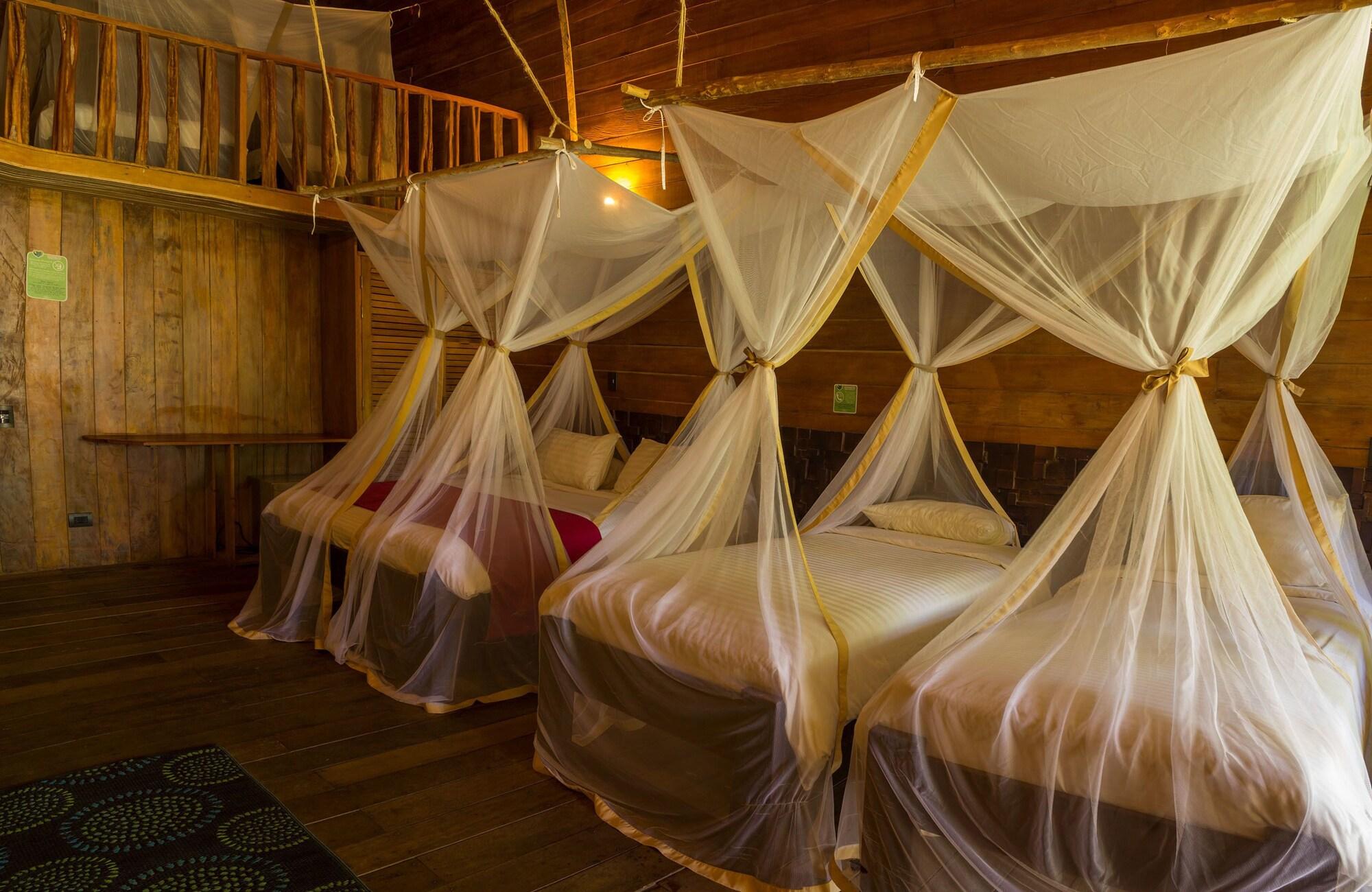 On Vacation Amazon Hotel เลติเซีย ภายนอก รูปภาพ