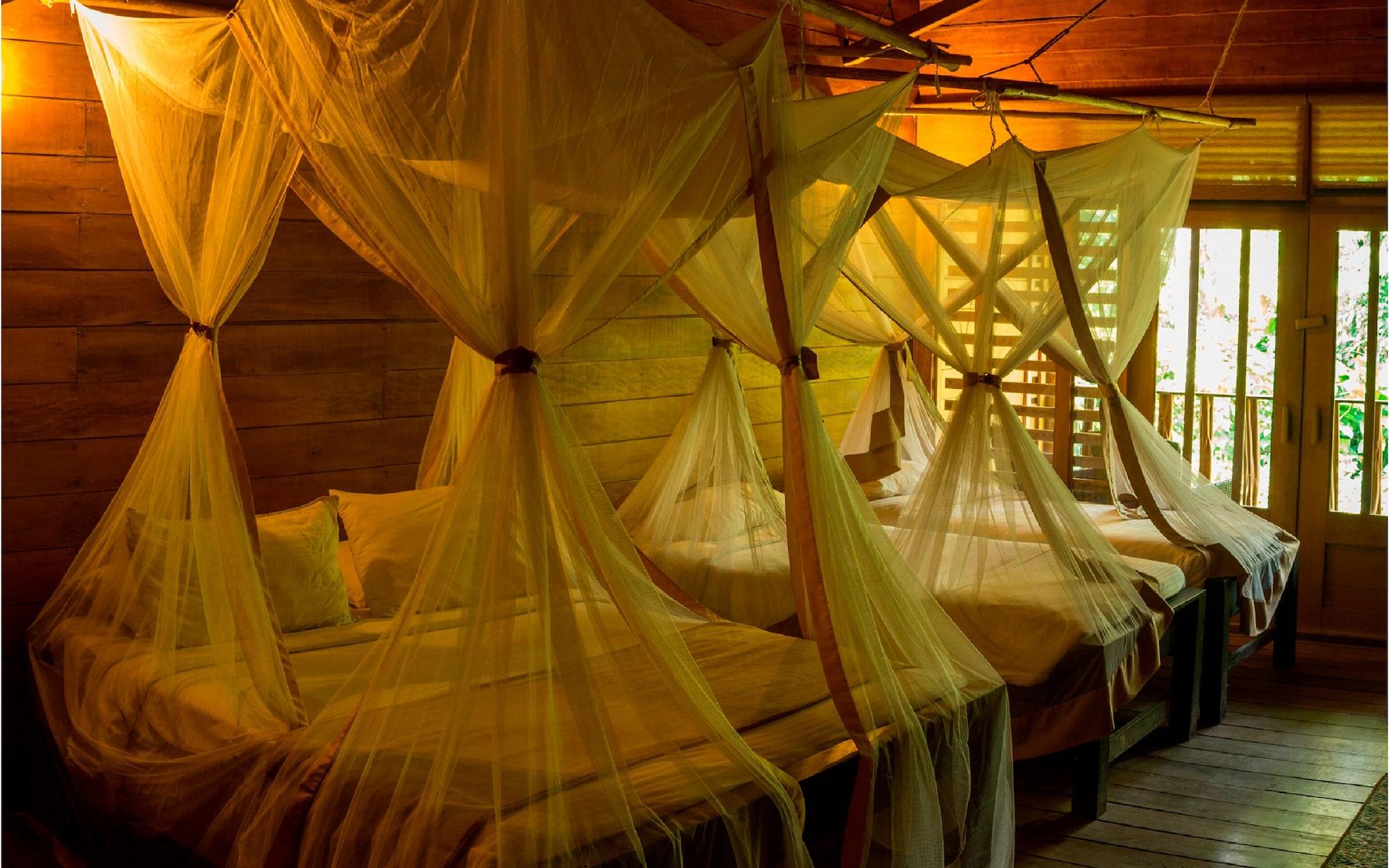 On Vacation Amazon Hotel เลติเซีย ภายนอก รูปภาพ