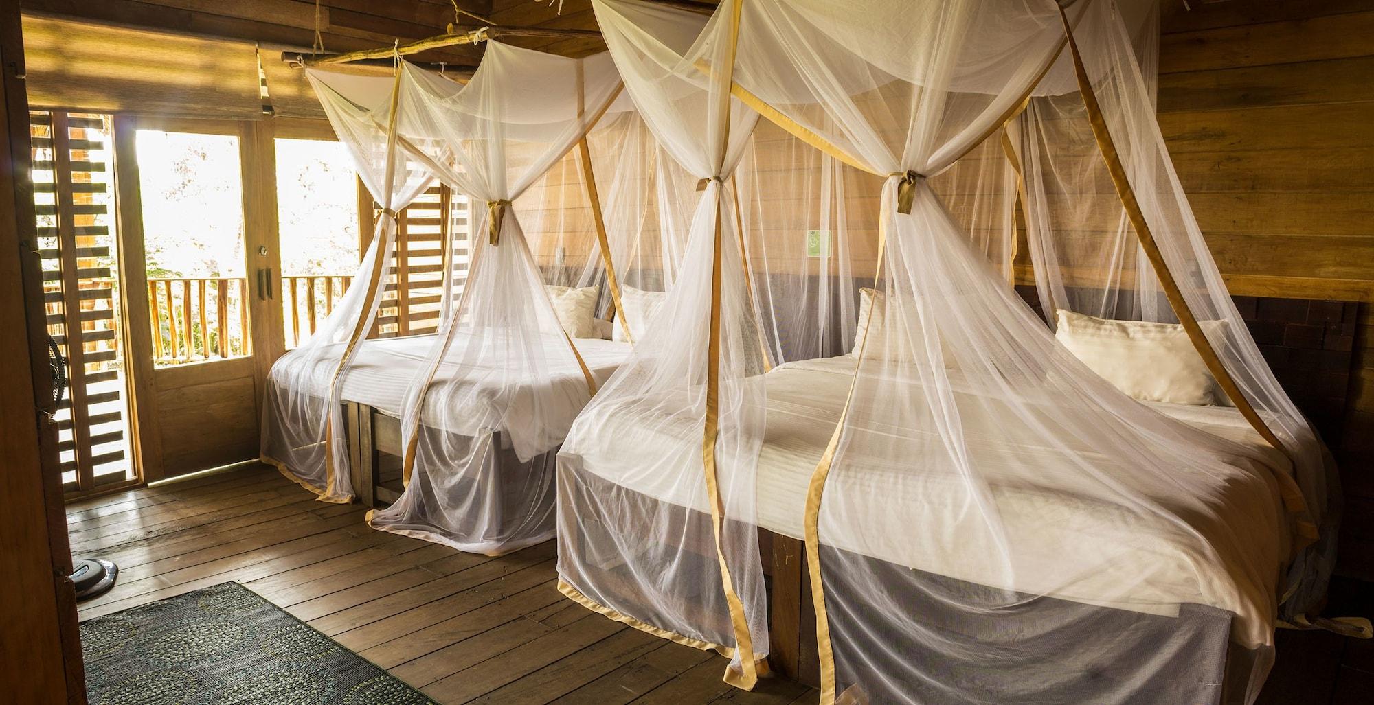 On Vacation Amazon Hotel เลติเซีย ภายนอก รูปภาพ