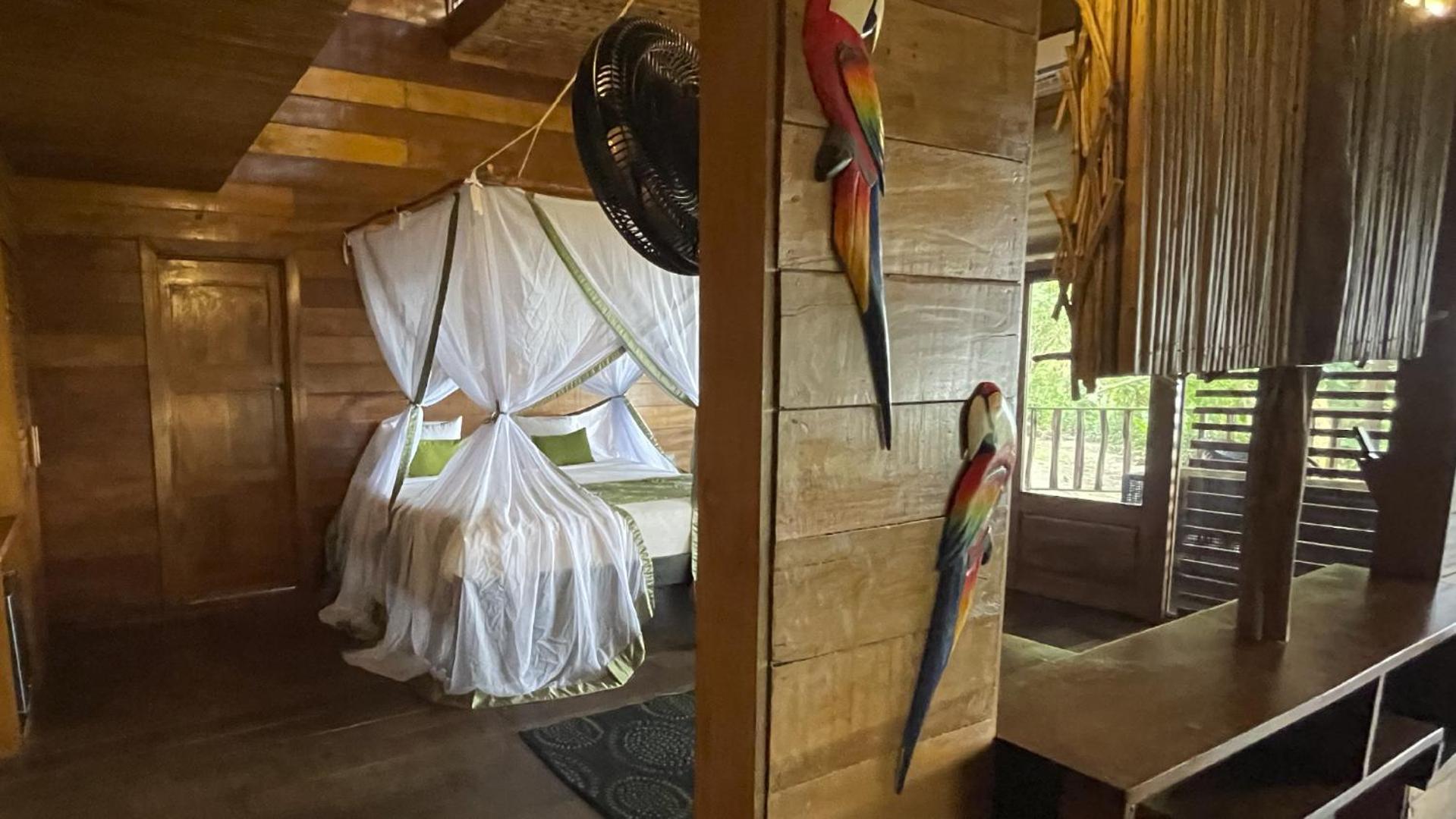 On Vacation Amazon Hotel เลติเซีย ภายนอก รูปภาพ